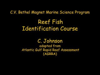 C.V. Bethel Magnet Marine Science Program
Reef Fish
Identification Course
C. Johnson
adapted from
Atlantic Gulf Rapid Reef Assessment
(AGRRA)
 