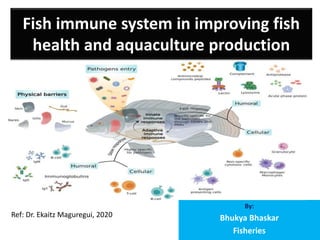 Fish immune system in improving fish
health and aquaculture production
By:
Bhukya Bhaskar
Fisheries
Ref: Dr. Ekaitz Maguregui, 2020
 