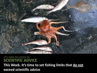 IT’S TIME TO LISTEN TO
SCIENTIFIC ADVICE
This Week. It’s time to set fishing limits that do not
exceed scientific advice
 
