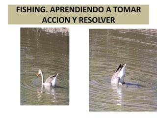 FISHING. APRENDIENDO A TOMAR
ACCION Y RESOLVER

 