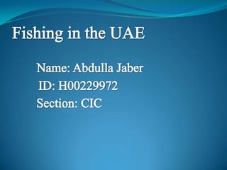Fishing in the UAE