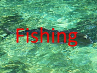 FISHING

Fishing
 