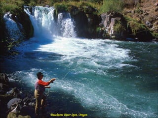 Deschutes River Spot, Oregon 