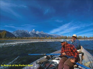 In Search of the Perfect Spot 