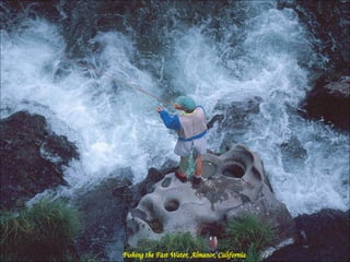 Fishing the Fast Water, Almanor, California 