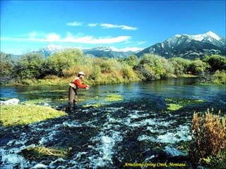 Armstrong Spring Creek, Montana 