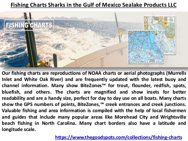 Fish In The Gulf Of Mexico Chart