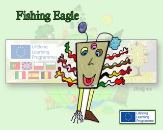 Fishing eagle - Endangered Species - Portugal