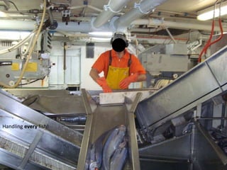 Handling every fish! 
 