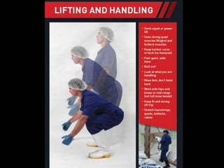 Fishing for information - an ergonomics scoping assessment