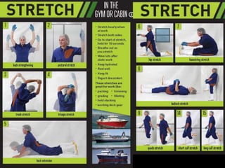 Fishing for information - an ergonomics scoping assessment