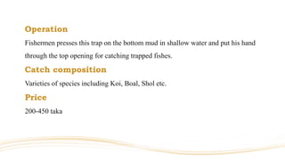 Operation
Fishermen presses this trap on the bottom mud in shallow water and put his hand
through the top opening for catching trapped fishes.
Catch composition
Varieties of species including Koi, Boal, Shol etc.
Price
200-450 taka
 