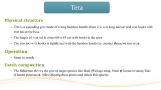 Teta
Physical structure
• Teta is a wounding gear made of a long bamboo handle about 2 to 4 m long and several iron hooks with
iron rod at the base.
• The length of iron rod is about 60 to 65 cm with hooks at the apex.
• The iron rod with hooks is tightly tied with the bamboo handle by coconut thread or iron wire.
Operation
• Same as konch
Catch composition
• The fisherman throws the gear to target species like Boal (Wallago attu), Shoal (Channa striatus), Taki
(Channa punctatus), Bele (Glossogobius giuris) and others fish species.
 