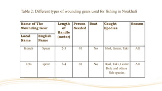 Name of The
Wounding Gear
Length
of
Handle
(meter)
Person
Needed
Boat Caught
Species
Season
Local
Name
English
Name
Konch Spear 2-3 01 No Shol, Gozar, Taki All
Teta spear 2-4 01 No Boal, Taki, Gozar
Bele and others
fish species
All
Table 2: Different types of wounding gears used for fishing in Noakhali
 
