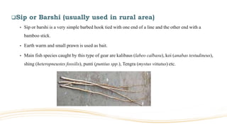 Sip or Barshi (usually used in rural area)
• Sip or barshi is a very simple barbed hook tied with one end of a line and the other end with a
bamboo stick.
• Earth warm and small prawn is used as bait.
• Main fish species caught by this type of gear are kalibaus (labeo calbasu), koi (anabas testudineus),
shing (heteropneustes fossilis), punti (puntius spp.), Tengra (mystus vittatus) etc.
 