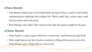 Tana Barshi
• Tana Barshi contains one or two baited hooks having no float, is used to catch mainly
snakehead,great snakehead and wallago fish. Where small frog, various types small
fish are used as bait in the hook.
• Boal (Wallago attu), Shol, Taki, Gozar are the main fish species caught by this gear.
Choto Barshi
• Choto barshi is a type of gear which have a small stick, small thread and sigle hook.
• Main caught species are Koi (Anabas testudineus), Shing (Heteropneustes fossilis),
Punti (Puntius spp.), Tengra (Mystus vittatus) etc.
 