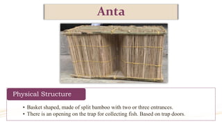 Anta
• Basket shaped, made of split bamboo with two or three entrances.
• There is an opening on the trap for collecting fish. Based on trap doors.
Physical Structure
 