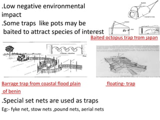 Stow nets - Fishing gear type