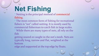 Net Fishing
* Netting is the principal method of commercial
fishing.
* The most common form of fishing for recreational
fishers is “net” called netting. It is mostly used by
commercial fisherman to catch fish in large scales.
* While there are many types of nets, all rely on the
fish
getting snared or caught in the net's mesh. Nets are
typically long, narrow and flat, weighted at the
bottom
edge and supported at the top edge by floats.
 