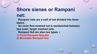 Shore sienes or Rampani
net:
* Rampani nets are a wall of net divided into three
layers.
* An inner fine-meshed net is sandwiched between
two outer, larger meshed nets.
* Rampani Net are also two types -:
1) Fixed Rampani Bag Net
2) Moveable Rampani Net
 