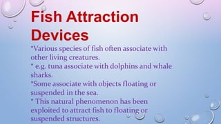 Fish Attraction
Devices
*Various species of fish often associate with
other living creatures.
* e.g. tuna associate with dolphins and whale
sharks.
*Some associate with objects floating or
suspended in the sea.
* This natural phenomenon has been
exploited to attract fish to floating or
suspended structures.
 