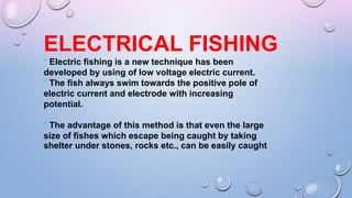 ELECTRICAL FISHING
* Electric fishing is a new technique has been
developed by using of low voltage electric current.
* The fish always swim towards the positive pole of
electric current and electrode with increasing
potential.
* The advantage of this method is that even the large
size of fishes which escape being caught by taking
shelter under stones, rocks etc., can be easily caught
 