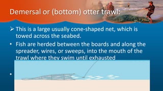 Demersal or (bottom) otter trawl:
 This is a large usually cone-shaped net, which is
towed across the seabed.
• Fish are herded between the boards and along the
spreader, wires, or sweeps, into the mouth of the
trawl where they swim until exhausted
• The forward part of the net the wings are kept open
laterally by otter boards or doors.
 