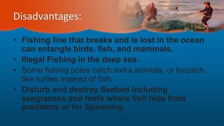 Disadvantages:
• Fishing line that breaks and is lost in the ocean
can entangle birds, fish, and mammals.
• Illegal Fishing in the deep sea.
• Some fishing poles catch extra animals, or bycatch,
like turtles instead of fish.
• Disturb and destroy Seabed including
seagrasses and reefs where fish hide from
predators or for Spawning
 