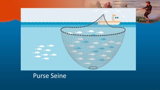 Purse Seine
 