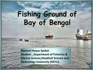 Fishing Ground of
Bay of Bengal
Nazmul Haque Syekat
Student _Department of Fisheries &
Marine Science,Noakhali Science and
Technology University [NSTU] .
 