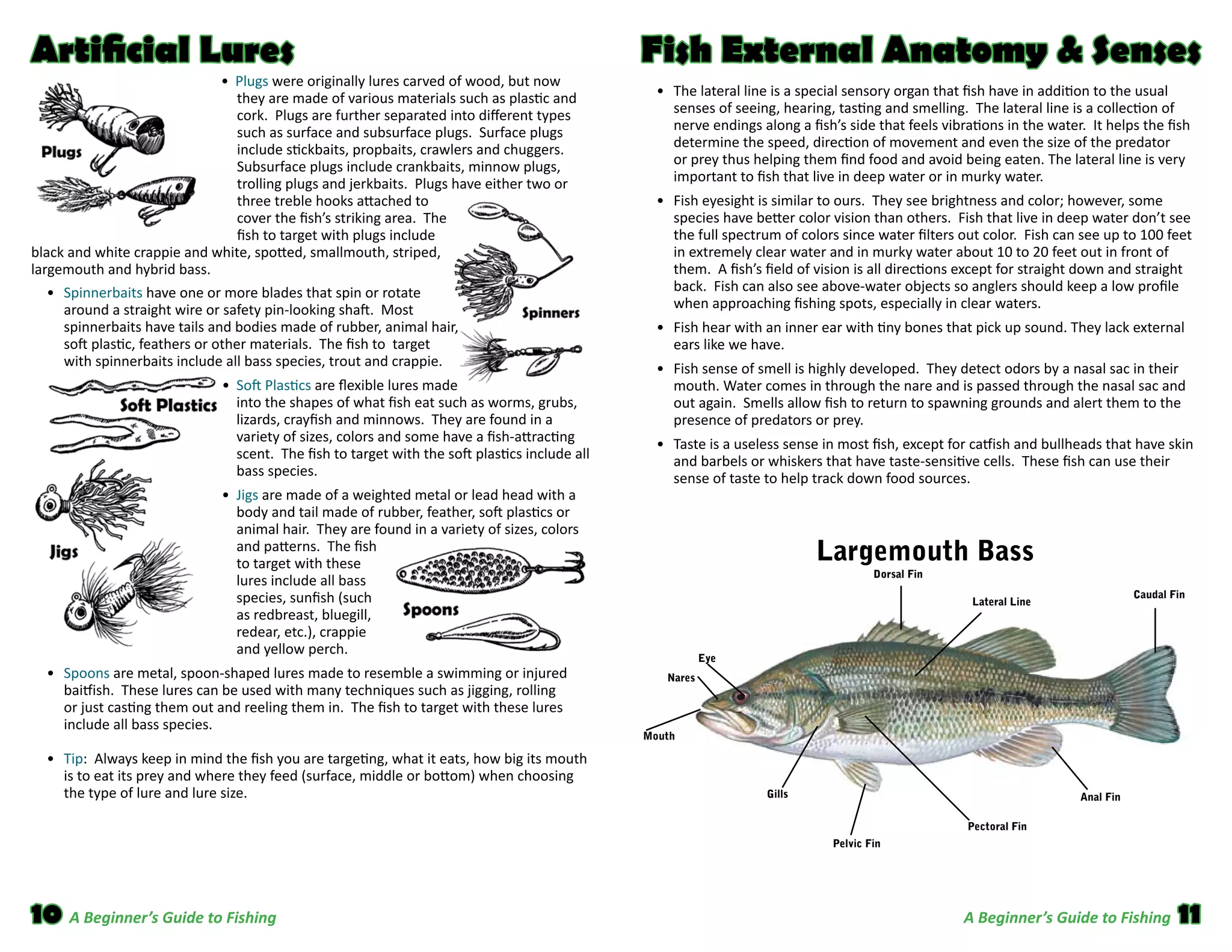 Fishing guide | PDF