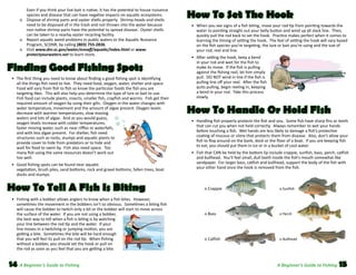 Even if you think your live bait is native, it has the potential to house nuisance
species and disease that can have negative impacts on aquatic ecosystems.  
o	 Dispose of shrimp parts and oyster shells properly.  Shrimp heads and shells
need to be disposed of in the trash and not thrown into the water because
non-native shrimp parts have the potential to spread disease.  Oyster shells
can be taken to a nearby oyster recycling facility.  
o	 Report aquatic weed problems in public waters to the Aquatic Nuisance
Program, SCDNR, by calling (803) 755-2836.  
o	 Visit www.dnr.sc.gov/water/envaff/aquatic/index.html or www.
protectyourwaters.net to learn more.

Finding Good Fishing Spots
	 •	 The first thing you need to know about finding a good fishing spot is identifying

all the things fish need to live.  They need food, oxygen, water, shelter and space.  
Food will vary from fish to fish so know the particular foods the fish you are
targeting likes.  This will also help you determine the type of lure or bait to use.  
Fish food can include plants, insects, smaller fish, crayfish and worms.  Fish get their
required amount of oxygen by using their gills.  Oxygen in the water changes with
water temperature, movement and the amount of algae present. Oxygen levels
decrease with warmer temperatures, slow moving
waters and lots of algae.  And as you would guess,
oxygen levels increase with colder temperatures,
faster moving water, such as near riffles or waterfalls,
and with less algae present.  For shelter, fish need
structures such as rocks, stumps and aquatic plants to
provide cover to hide from predators or to hide and
wait for food to swim by.  Fish also need space.  Too
many fish using the same resources doesn’t work out
too well.  

	 •	 Good fishing spots can be found near aquatic
vegetation, brush piles, sand bottoms, rock and gravel bottoms, fallen trees, boat
docks and stumps.  

How To Tell A Fish Is Biting
	 •	 Fishing with a bobber allows anglers to know when a fish bites.  However,
sometimes the movement in the bobbers isn’t so obvious.  Sometimes a biting fish
will cause the bobber to twitch only a bit or the bobber will start to move across
the surface of the water.  If you are not using a bobber,
the best way to tell when a fish is biting is by watching
your line between the rod tip and the water.  If your
line moves in a twitching or jumping motion, you are
getting a bite.  Sometimes the bite will be hard enough
that you will feel its pull on the rod tip.  When fishing
without a bobber, you should set the hook or pull on
the rod as soon as you feel that you are getting a bite.  

14 A Beginner’s Guide to Fishing

How To Set The Hook
	 •	 When you see signs of a fish biting, move your rod tip from pointing towards the
water to pointing straight out your belly button and wind up all slack line.  Then,
quickly pull the rod back to set the hook.  Practice makes perfect when it comes to
learning the timing of setting the hook.  The feel of setting the hook will vary based
on the fish species you’re targeting, the lure or bait you’re using and the size of
your rod, reel and line.  
	 •	 After setting the hook, keep a bend
in your rod and wait for the fish to
make its move.  If the fish is pulling
against the fishing reel, let him simply
pull.  DO NOT wind in line if the fish is
pulling line off your reel.  After the fish
quits pulling, begin reeling in, keeping
a bend in your rod.  Take this process
slowly.

How To Handle Or Hold Fish
	 •	 Handling fish properly protects the fish and you.  Some fish have sharp fins or teeth

that can cut you when not held correctly.  Always remember to wet your hands
before touching a fish.  Wet hands are less likely to damage a fish’s protective
coating of mucous or slime that protects them from disease.  Also, don’t allow your
fish to flop around on the bank, dock or the floor of a boat.  If you are keeping fish
to eat, you should put them in ice or in a bucket of cool water.  

	 •	 Fish that CAN be held by the bottom lip include crappie, sunfish, bass, perch, catfish
and bullhead.  You’ll feel small, dull teeth inside the fish’s mouth somewhat like
sandpaper.  For larger bass, catfish and bullhead, support the body of the fish with
your other hand once the hook is removed from the fish.

	

o Crappie	

o Sunfish	

	

o Bass	

o Perch

	

o Catfish	

o Bullhead

A Beginner’s Guide to Fishing

15

 
