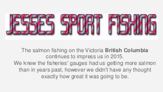 The salmon fishing on the Victoria British Columbia
continues to impress us in 2015.
We knew the fisheries' gauges had us getting more salmon
than in years past, however we didn't have any thought
exactly how great it was going to be.
 