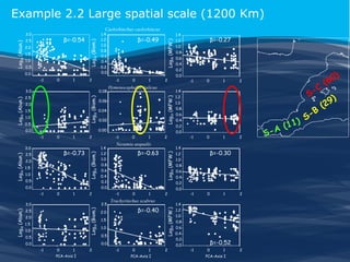 Example 2.2 Large spatial scale (1200 Km)

1.0
0.5
0.0
-1

0

1

2
0.08

2.5

Log10 (Biom.)

2.0
1.5
1.0
0.5

2

Hymenocephalus italicus

0.06
0.04
0.02

3.0

1

β=-0.73

2.5
2.0
1.5
1.0
0.5

2

0.0
-1

0

1

-1
1.4
1.2
1.0
0.8
0.6
0.4
0.2
0.0

2.5

Log10 (Biom.)

3.0
2.5
2.0
1.5
1.0
0.5

1

2

Nezumia aequalis

β=-0.63

-1

2

0

0

1

2

Trachyrinchus scabrus

β=-0.40

2.0
1.5
1.0
0.5
0.0

0.0
-1

0

1

PCA-Axis I

2

-1

0

1

PCA-Axis I

1.4
1.2

β=-0.27

1.0
0.8
0.6
0.4
0.2
0.0

-1

0

1

2

1.4

Log10 (MFW.)

0

Log10 (Biom.)

-1

Log10 (Abun.)

1

0.00

0.0

Log10 (Abun.)

0

Log10 (MFW.)

Log10 (Abun.)

3.0

-1

Log10 (MFW.)

1.5

β=-0.49

Log10 (MFW.)

2.0

1.4
1.2
1.0
0.8
0.6
0.4
0.2
0.0

L

Log10 (Abun.)

β=-0.54

2.5

Log10 (Biom.)

Caelorhinchus caelorhincus

3.0

2

1.2
1.0
0.8
0.6
0.4
0.2
0.0

-1

0

1.4
1.2

1

2

β=-0.30

1.0
0.8
0.6
0.4
0.2
0.0

-1

0

-1

0

1

2

1.4
1.2
1.0
0.8
0.6
0.4
0.2
0.0

β=-0.52
1

PCA-Axis I

2

-C
S
-B
S
1 1)
(
-A
S

0
(6
9
(2

)

)

 