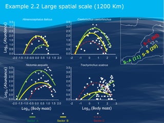 Log10 (Abundance)

Example 2.2 Large spatial scale (1200 Km)
3.5

Himenocephalus italicus

3.0

3.0

2.5

2.5

2.0

2.0

1.5

1.5

1.0

1.0

0.5

0.5

0.0

0.0

-2.0 -1.5 -1.0 -0.5 0.0 0.5 1.0 1.5 2.0

Log10 (Abundance)

Caelorinchus caelorhinchus

3.5

3.5

Nezumia aequalis

-C
S
-2

1.5

1.0

1.0

0.5

0.5

0.0

3

2.0

1.5

2

2.5

2.0

1

3.0

2.5

0

Trachyrinchus scabrus

3.5

3.0

-1

0.0

-2.0 -1.5 -1.0 -0.5 0.0 0.5 1.0 1.5 2.0

-1

0

1

2

Log10 (Body mass)

Log10 (Body mass)
Sector A

-2

Sector B

Sector C

3

-B
S
1 1)
(
-A
S

0
(6
9
(2

)

)

 