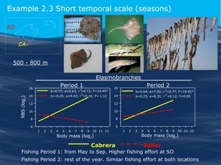 Example 2.3 Short temporal scale (seasons)
SO
CA
500 - 800 m
Elasmobranches
Period 1

NBS (log2)

16

2

b=0.77; a=6.63; r =0.72; F=15.45*
2

14

b=-0.25; a=9.43; r =0.16; F= 1.11

Period 2

16

2

b=0.64; a=7.02; r =0.77; F=19.85*
2

14

12

12

10

10

8

8

6

b=0.23; a=8.31; r =0.12; F=0.85

6
1

2

3

4

5

6

7

8

9

10 11 12

Body mass (log2)

Cabrera

1

2

3

4

5

6

7

8

9

10 11 12

Body mass (log2)

Sóller

Fishing Period 1: from May to Sep. Higher fishing effort at SO
Fishing Period 2: rest of the year. Similar fishing effort at both locations

 