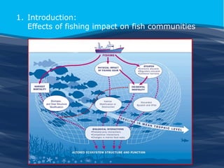 1. Introduction:
Effects of fishing impact on fish communities

Biomass,
and Size Structure
Modification

 