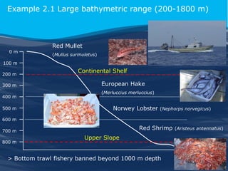Example 2.1 Large bathymetric range (200-1800 m)

0m

Red Mullet
(Mullus surmuletus)

100 m
200 m
300 m
400 m
500 m

Continental Shelf
European Hake
(Merluccius merluccius)

Norwey Lobster

(Nephorps norvegicus)

600 m

Red Shrimp

700 m
800 m

Upper Slope

> Bottom trawl fishery banned beyond 1000 m depth

(Aristeus antennatus)

 