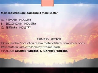 Main Industries are comprise 3 more sector

A. PRIMARY INDUSTRY
B. SECONDARY INDUSTRY
C. TERTIARY INDUSTRY



                             PRIMARY SECTOR
It involves the Production of raw material<fish> from water body.
Raw materials are available by two methods.
It includes CULTURE FISHERIES & CAPTURE FISHERIES
 