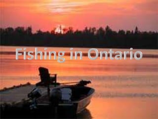 Fishing in Ontario 
