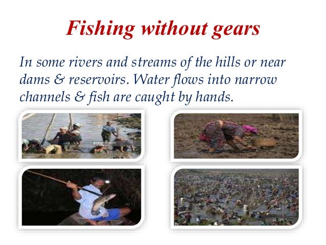 Types Of Fishing Methods – Top 12 Types Of Fishing Techniques – NSQA
