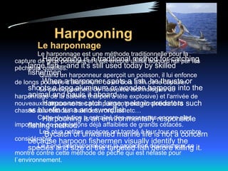 Fishing methods, fishing material | PPT