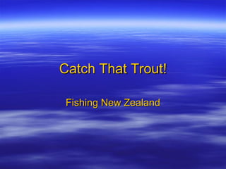 Catch That Trout! Fishing New Zealand 