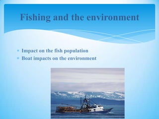 Fishing and the environment
Impact on the fish population
Boat impacts on the environment