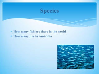 Species
How many fish are there in the world
How many live in Australia