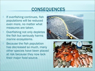  If overfishing continues, fish
populations will be reduced
even more, no matter what
measures are taken.
 Overfishing n...