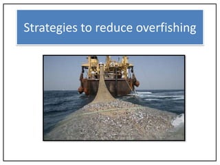 Strategies to reduce overfishing
 
