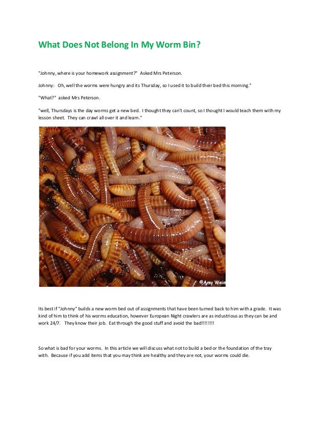 Fishing Worms