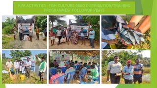 KVK ACTIVITIES -FISH CULTURE-SEED DISTRIBUTION/TRAINING
PROGRAMMES/ FOLLOWUP VISITS
 