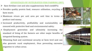 ADVANTAGES OF INTEGRATED FISH FARMING (IFF)
 Save fertilizer cost and also supplementary feed cost(60%)
 Provides quality protein food, resource utilisation, recycling of
farm waste.
 Maximum return per unit area per unit time in terms of
produce and money.
 Increased productivity, profitability and sustainability are
ensured with protective food and environmental safety.
 Employment generation and ultimately increasing the
standard of living of the farmers are other major benefits of
integrated farming system.
 Obtaining food and nutritional security at farm level and can
also generate rural employment, thus preventing excessive
migration to urban areas.
 